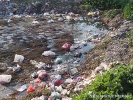 中国环保？我国环境保护的现状怎样？环保现状令人堪忧？