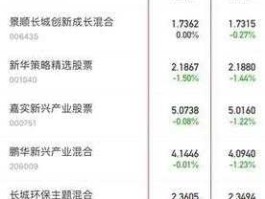 新华优选基金，新华分红这基金如何？