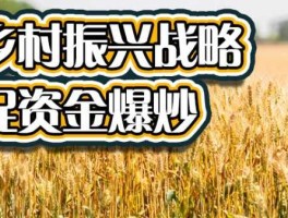 新三板采购平台 乡村振兴概念股有哪些？