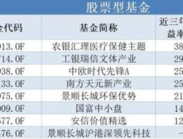 国富中小盘（股票型基金有哪些？）