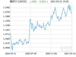 嘉实基本面50指数？收益排行前十名的指数基金有哪些？