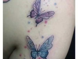 仙女托蛋纹身？女生纹蝴蝶寓意？