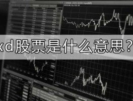 西部资源股票（xd金钼股份什么意思？）