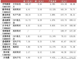 安集微电子（半导体细分龙头？）