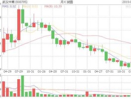 武汉中商股票 股票指标参数？