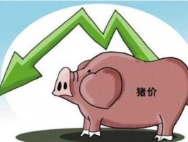 中国猪肉价格 猪价下跌的原因？