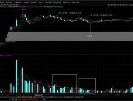 300288股票（成交量极度萎缩的股票？）