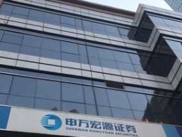 宏源证劵？申万宏源主要从事？
