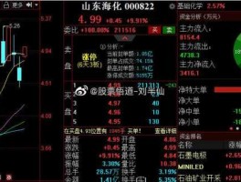 山东海化股票，山东海化未来发展前景？