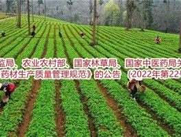 中药材种植项目，种植中药材国家有补贴和扶持政策？