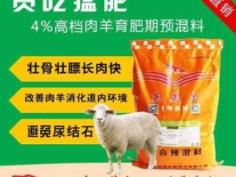 菜粕，羊喂什么饲料好，怎样养羊长得快？
