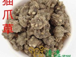 猫爪草价格？最罕见最昂贵的中药材是什么？