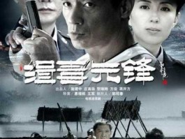 刘燕铭，一线缉毒电视剧？