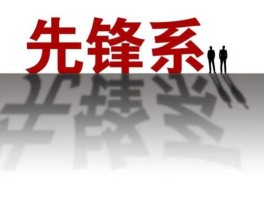 先锋集团（先锋系是指什么？）