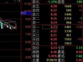 华银电力股 大家给点意见，华银电力（600744）怎么样？