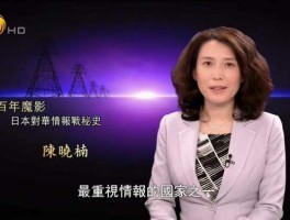 凤凰大视野全部？凤凰大视野历任主持？