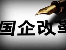 黑牡丹股票，国资国企改革概念股票有哪些？