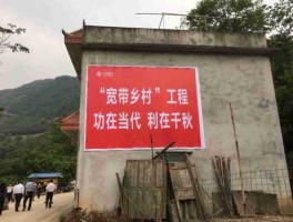 建设一批 推进5万个行政村通光纤，农村信息化能力提升后的效果？