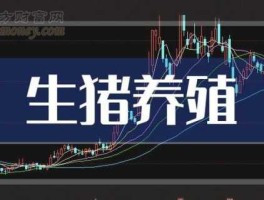 股票002124？代养猪哪家公司最可靠？