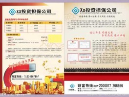 河南投资担保网，河南恒大投资担保有限公司介绍？