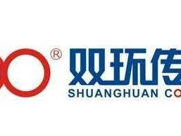 双环传动（双环传动在国内什么地位？）