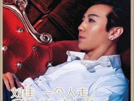 刘佳吧？怕你变老是啥歌名？