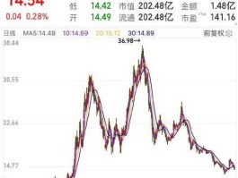 九龙电力股票 中电国际有哪些子公司？