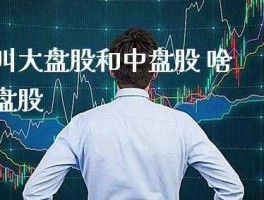 什么叫大盘股？什么叫大盘股（基金）？