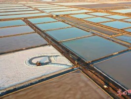 中国盐田，盐田的产量是多少？