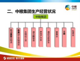 中国生命集团，中粮集团主要经营的产品有什么？