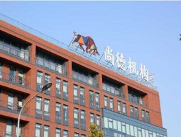 无锡尚德股票（尚德机构股票培训靠谱吗？）