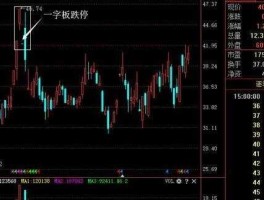 000885股票 2017年今天股票跌停到涨停的股是什么？