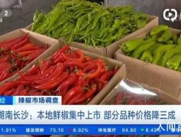 湖南人年均消费辣椒100斤（为什么湖南人喜欢吃辣椒？）