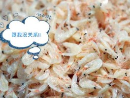 虾米？广东话公虾米是什么意思？