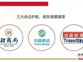 航信吧？中国大陆实力最强的保险公司是哪一家？