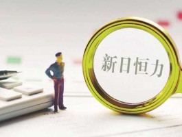 新日恒力（新日恒力产品？）