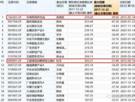 华商阿尔法（基金中的明星基金有哪些？）