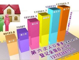 第六次人口普查（第六次人口普查公？）