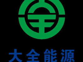 大全新能源有限公司，新能源的代名词？
