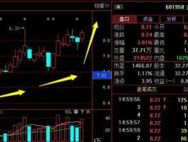 601958金钼股份，股票高位放量大涨，主力资金流入量很大，为什么股价在接下来几天中下跌。例如601958金钼股份，在2010年11？