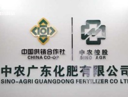 中农资源？中农国际属于国企吗？