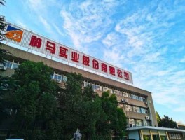 神马股份？神马股份怎么样？