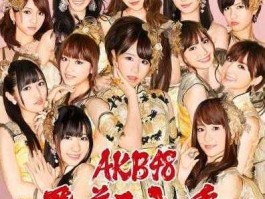 飞翔入手（akb48十大经典歌曲？）