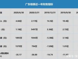 广东榕泰600589 广东普宁市有那些上市公司？