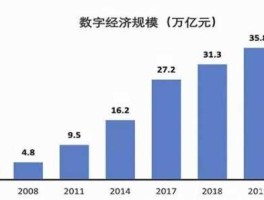 900938？数字经济八只概念股？