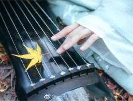 猫扑文学 抚琴的人是哪里人？