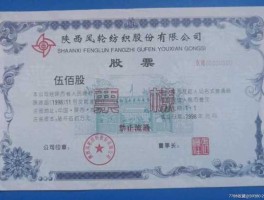 可换股票据 股带是什么意思？