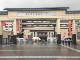 东华实业股票？东华中学是富盈集团的吗？