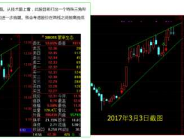 股票600666，600666主力持续买入什么意思？