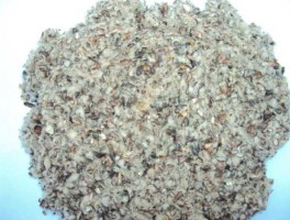 棉籽价格行情？棉子壳多少价钱？